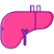 Liver Function Test