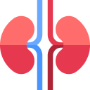 Kidney